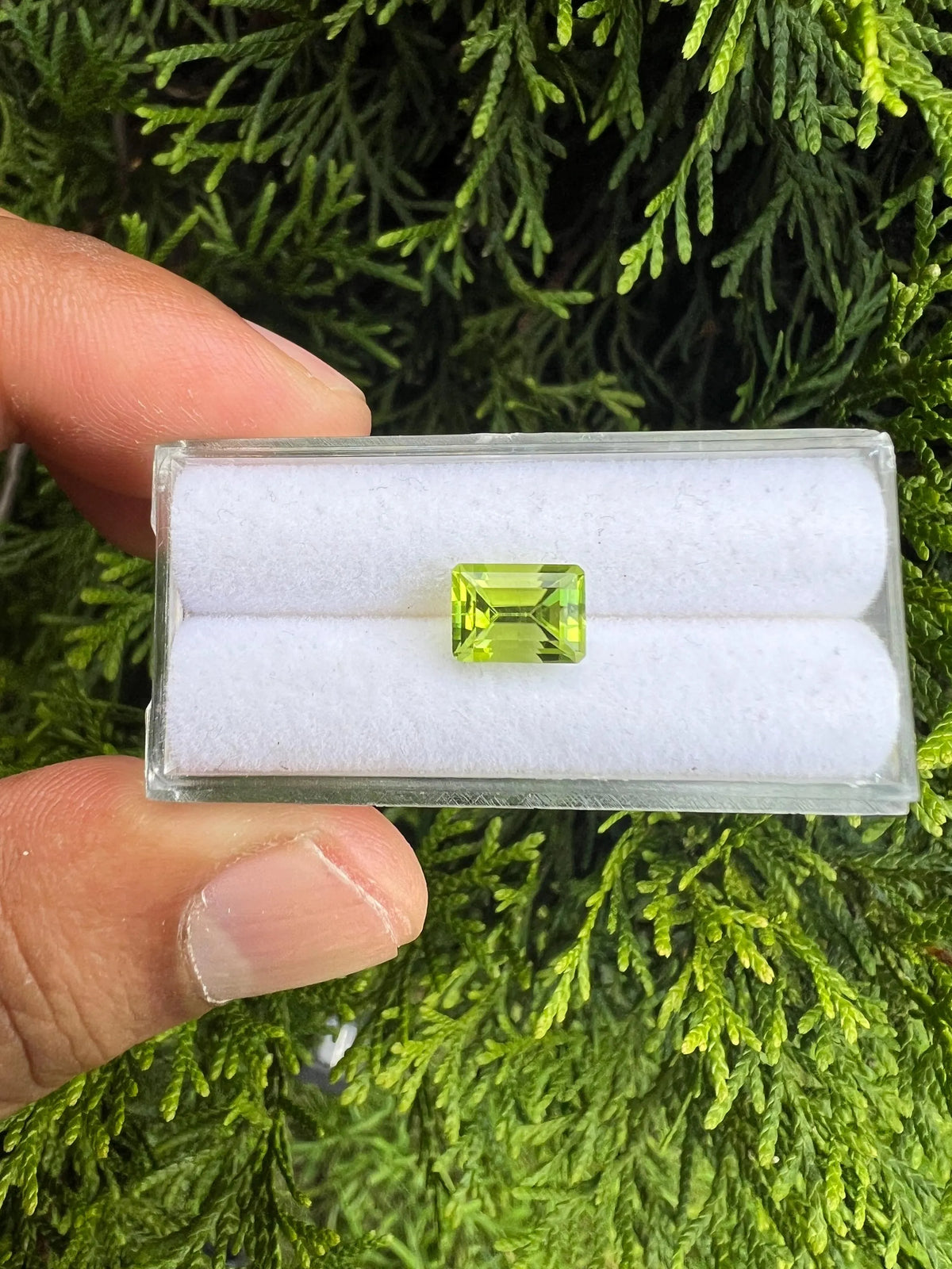 Peridot Faceted Emerald Cut 7.8x5.8x3.8mm Single Piece Approximately 1.50 Carat