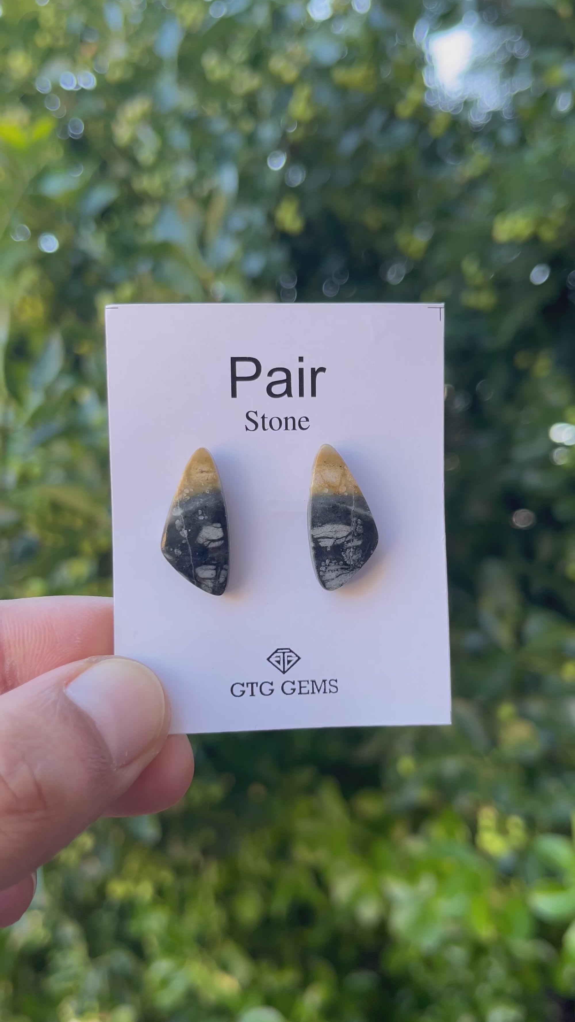 Picasso Jasper 22x10mm Matching Pair Cabochon Approximately 15.5 Carat (GTG-MPJ-4)