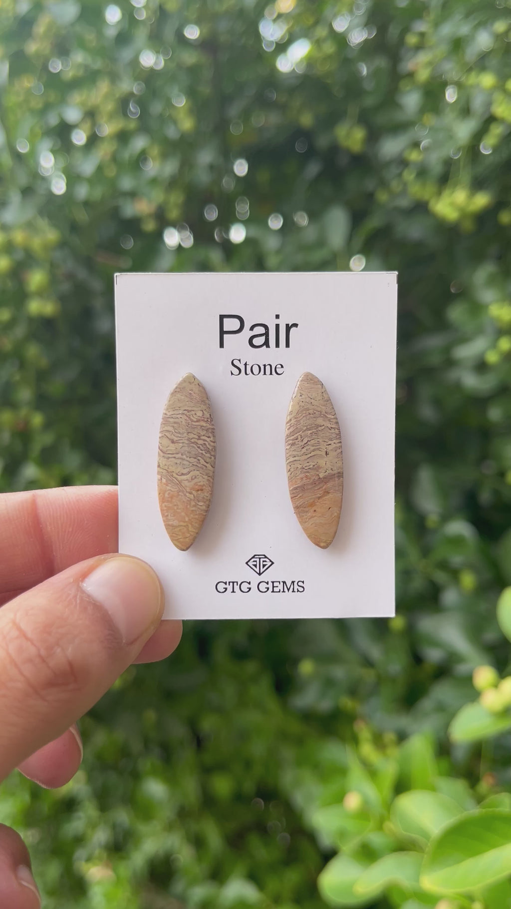 Picture Jasper 32x10mm Matching Pair Cabochon