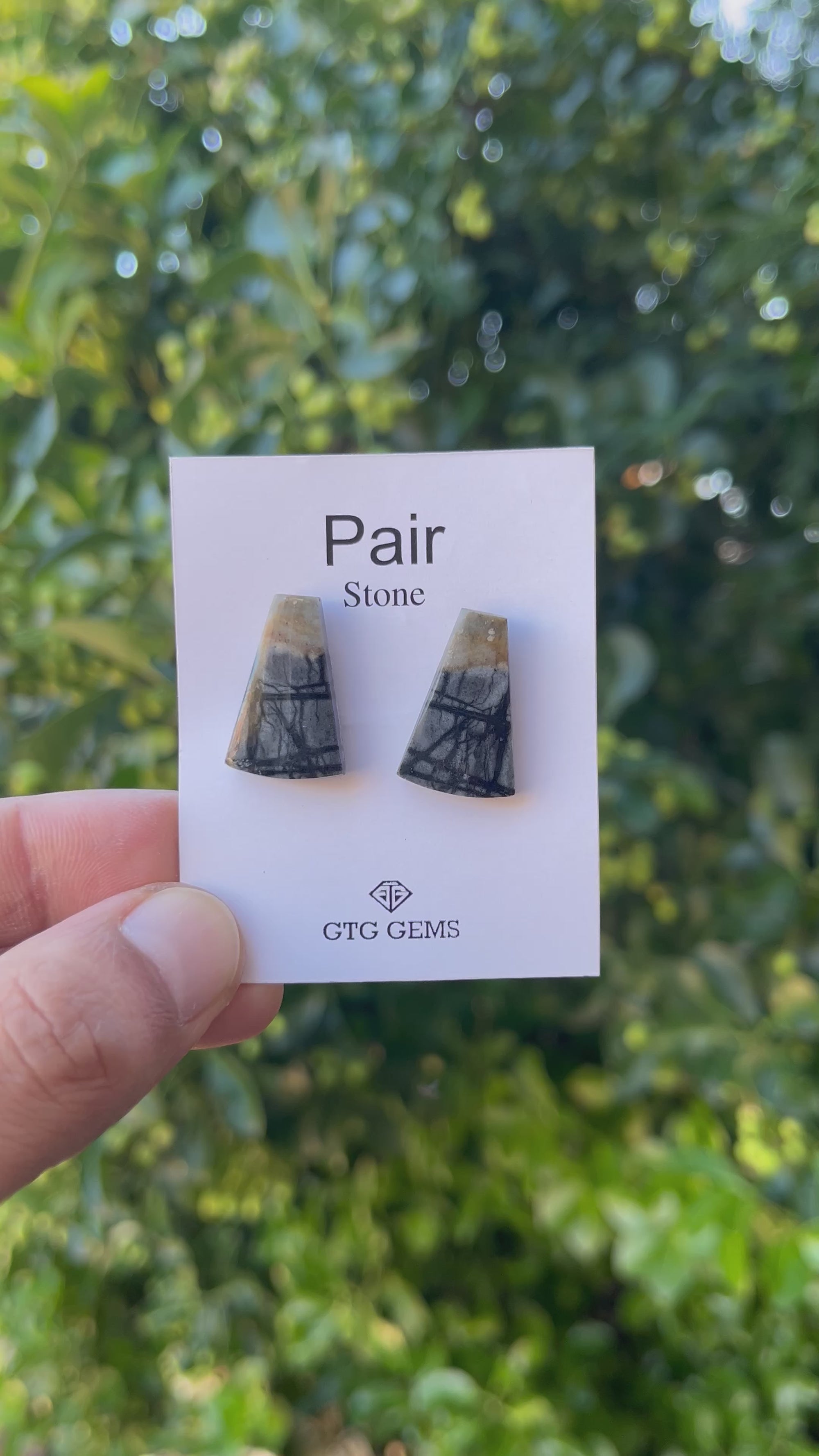 Picasso Jasper 22x14mm Matching Pair Cabochon Approximately 21 Carat (GTG-MPJ-1)