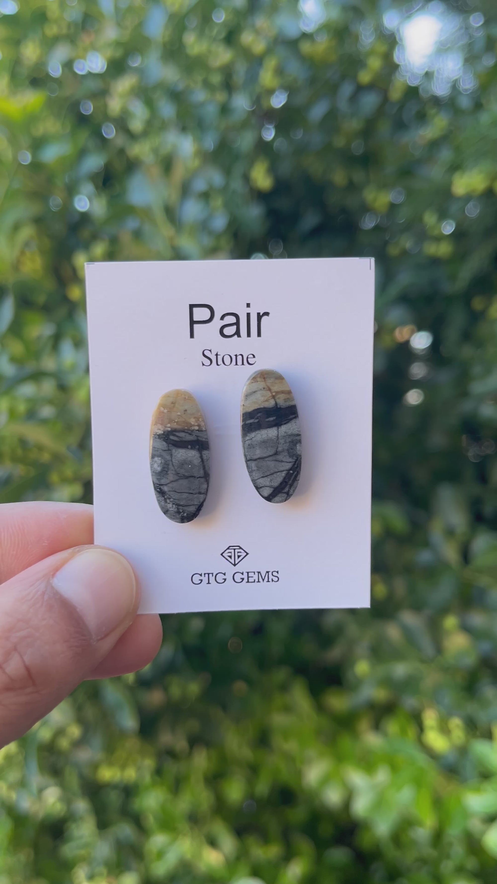 Picasso Jasper 24x11mm Matching Pair Cabochon Approximately 23.5 Carat (GTG-MPJ-6)