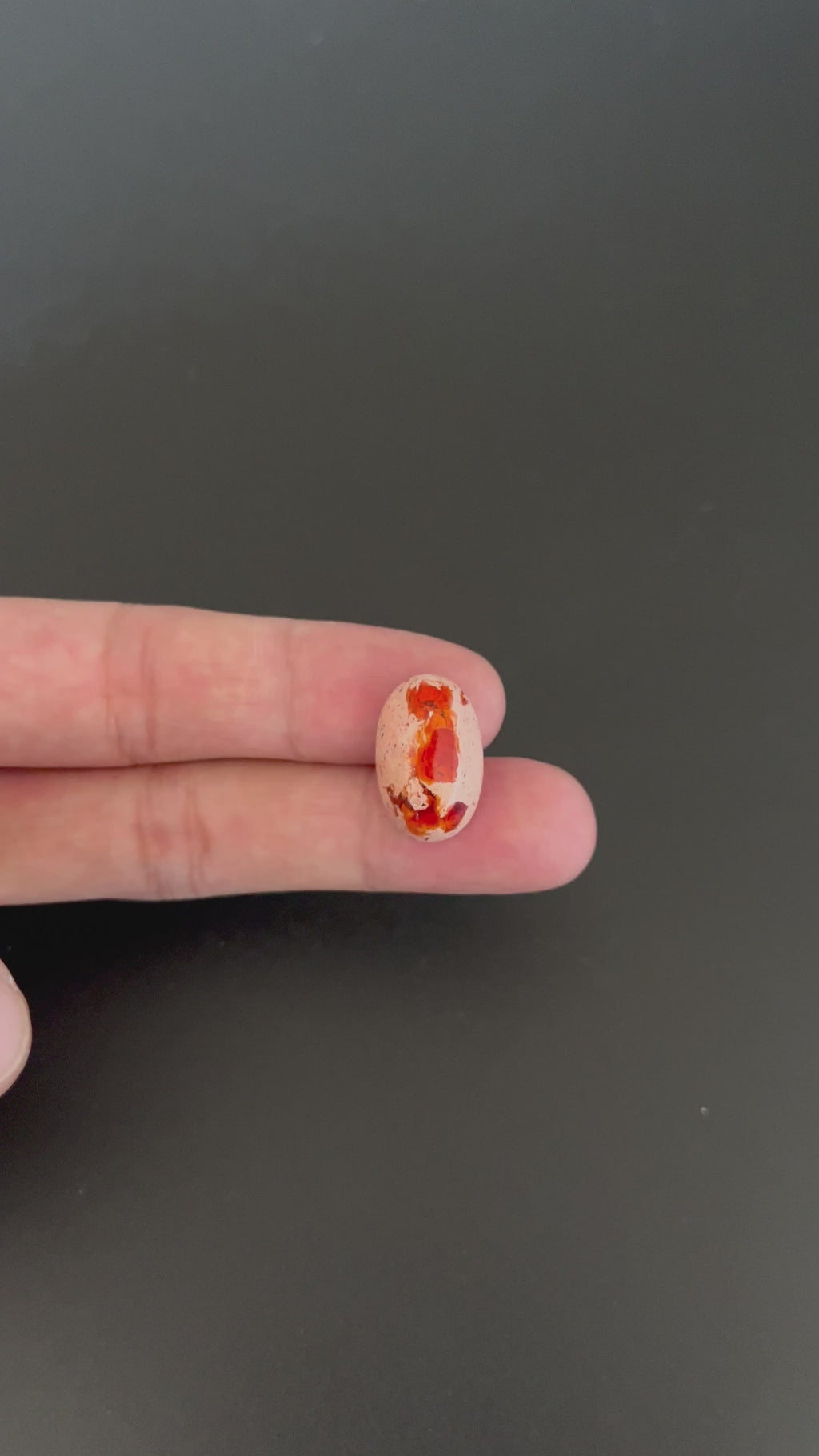 Mexican Fire Opal Cabochon 20x13 mm Approximately 9.17 Carat (GTG-MFO-10)