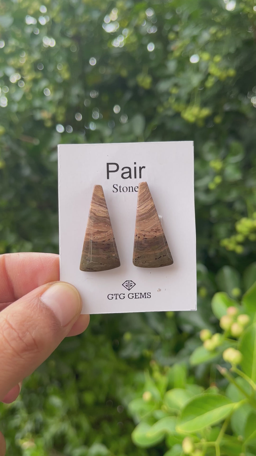 Picture Jasper 31.50x10mm Matching Pair Cabochon