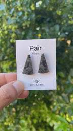 Black Fossil, Cabochon Matching Pair 25x15 mm, Approximately 21 carat (GTG-MBF-7)