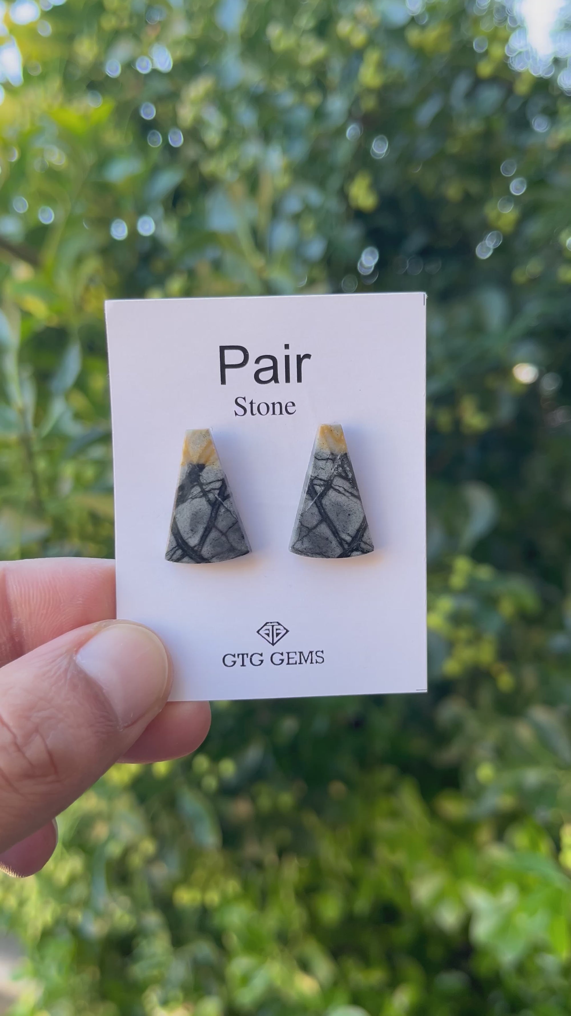 Picasso Jasper 21x14mm Matching Pair Cabochon Approximately 17 Carat (GTG-MPJ-3)