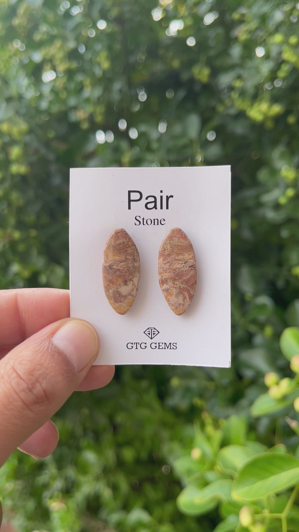 Picture Jasper 28x12mm Matching Pair Cabochon