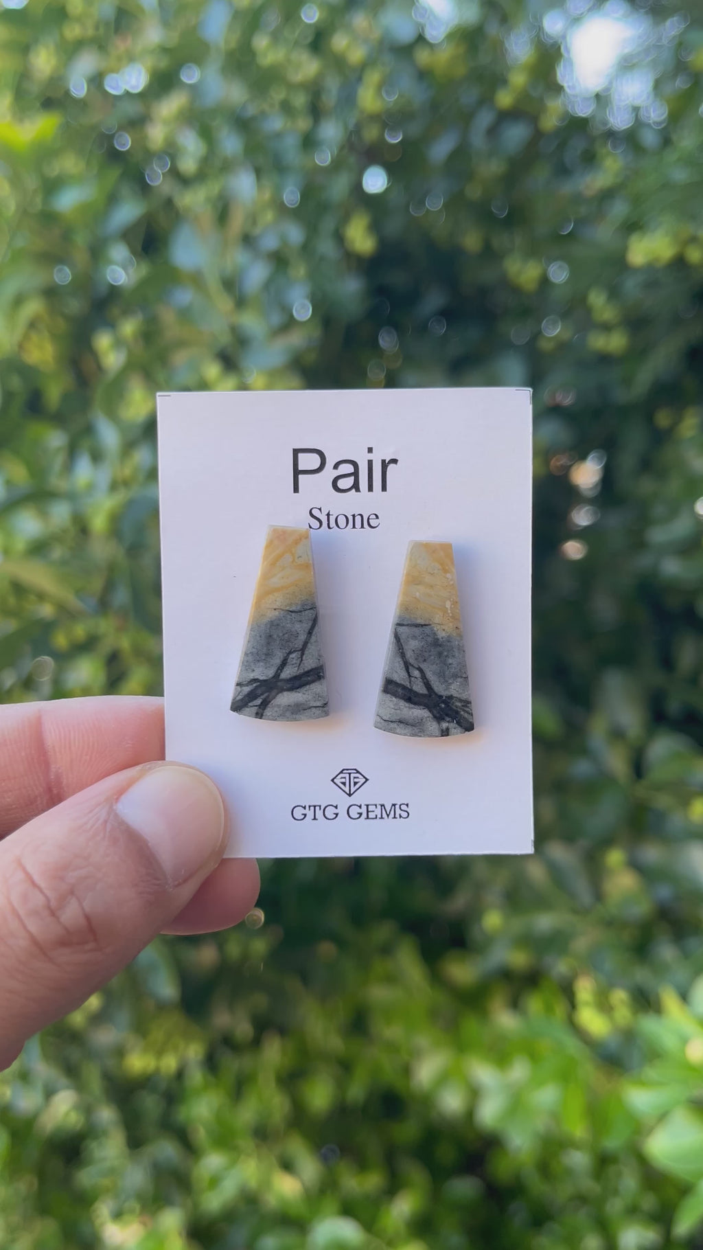 Picasso Jasper 27x14mm Matching Pair Cabochon Approximately 24.5 Carat (GTG-MPJ-5)