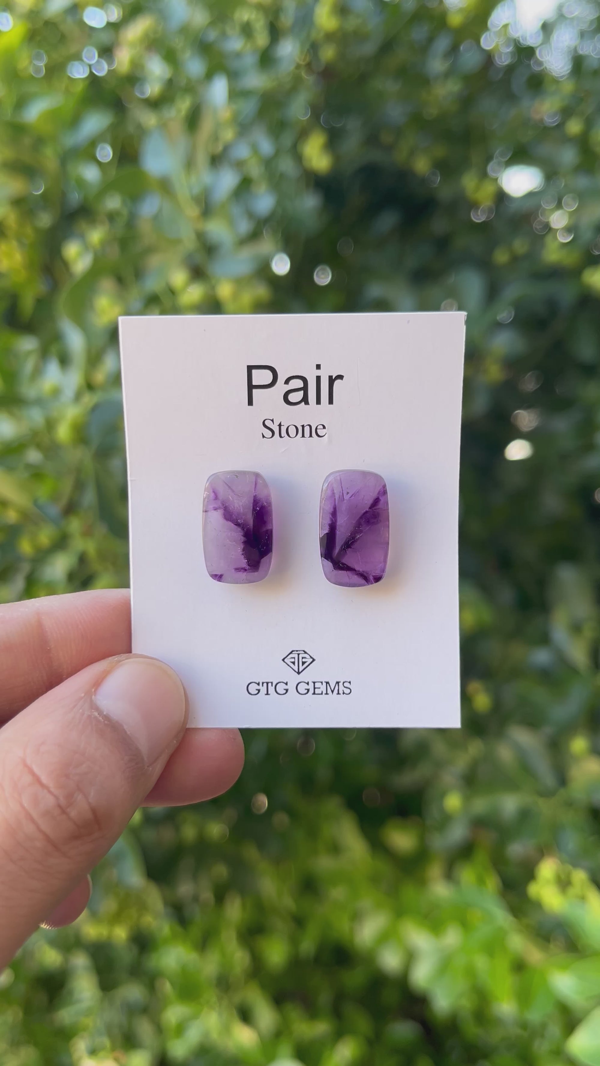 Star Amethyst Matching Pair Cabochon 17x10 mm, Approximately 17 Carat (GTG-AM-12)