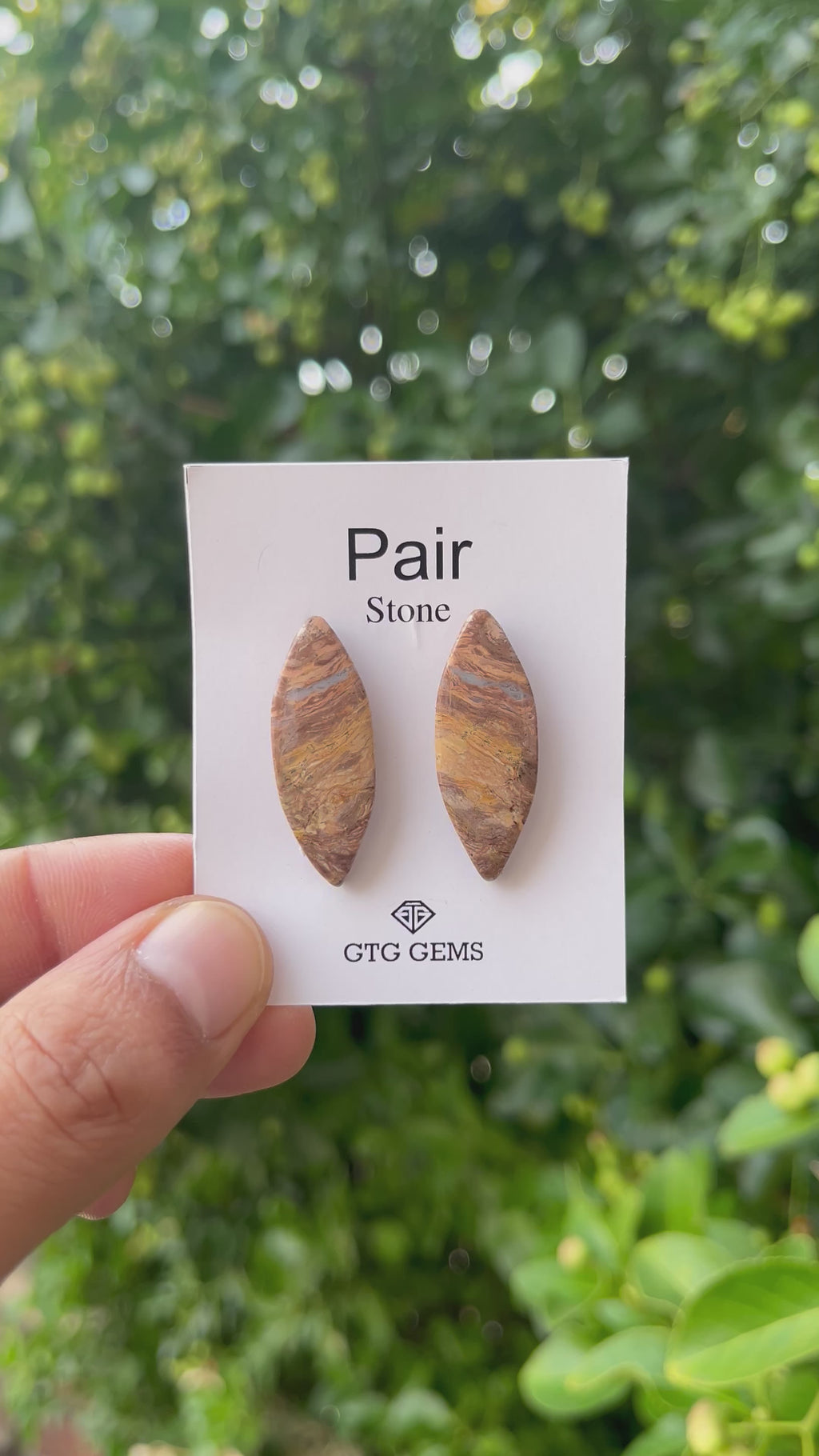 Picture Jasper 31.50x12mm Matching Pair Cabochon