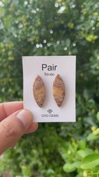 Picture Jasper 31.50x12mm Matching Pair Cabochon