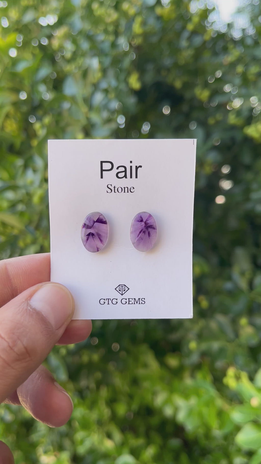 Star Amethyst Matching Pair Cabochon 16x10 mm, Approximately 11.50 Carat (GTG-AM-14)