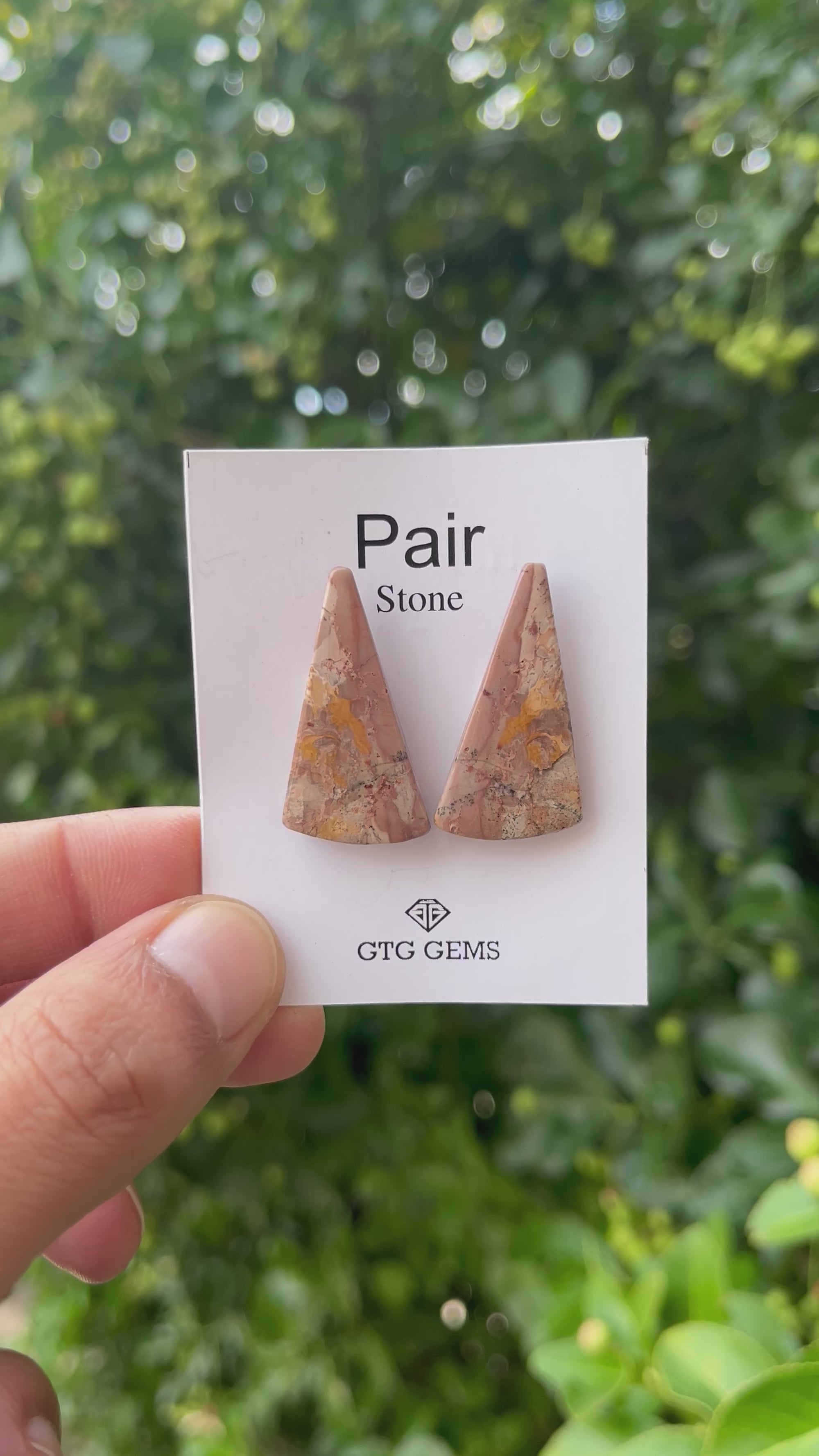 Picture Jasper 31x16mm Matching Pair Cabochon