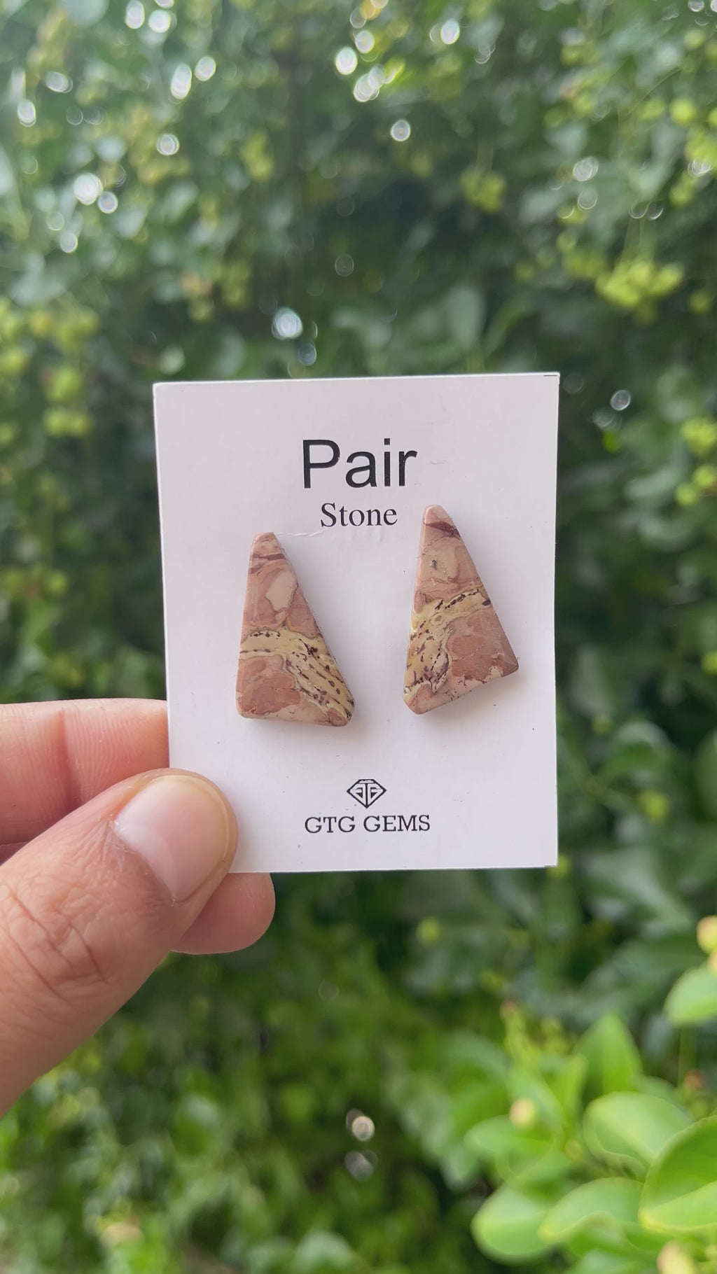 Picture Jasper 26x14mm Matching Pair Cabochon