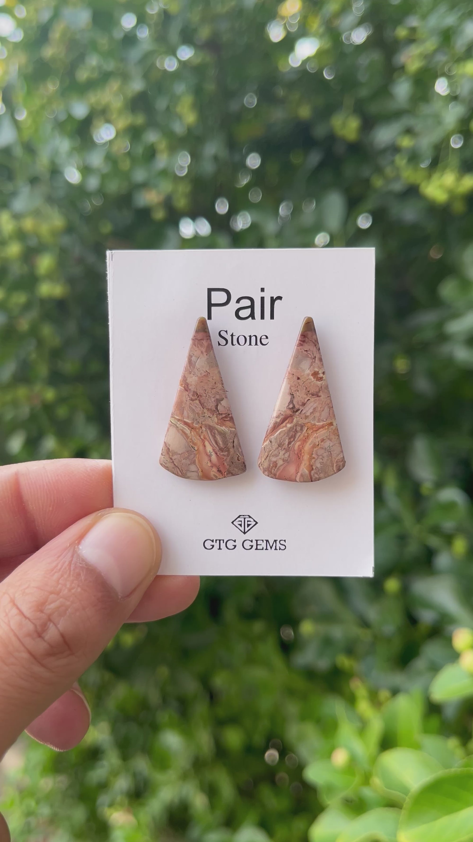 Picture Jasper 31x17mm Matching Pair Cabochon