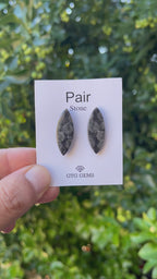 Black Fossil, Cabochon Matching Pair 27x10 mm, Approximately 19 carat (GTG-MBF-3)