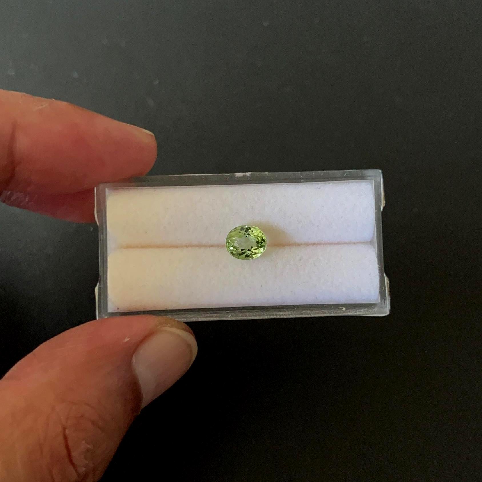 Natural Tourmaline Faceted 6.9x5.9 mm Single Piece Approximately 1.13 Carat (GTG-TOU-332)
