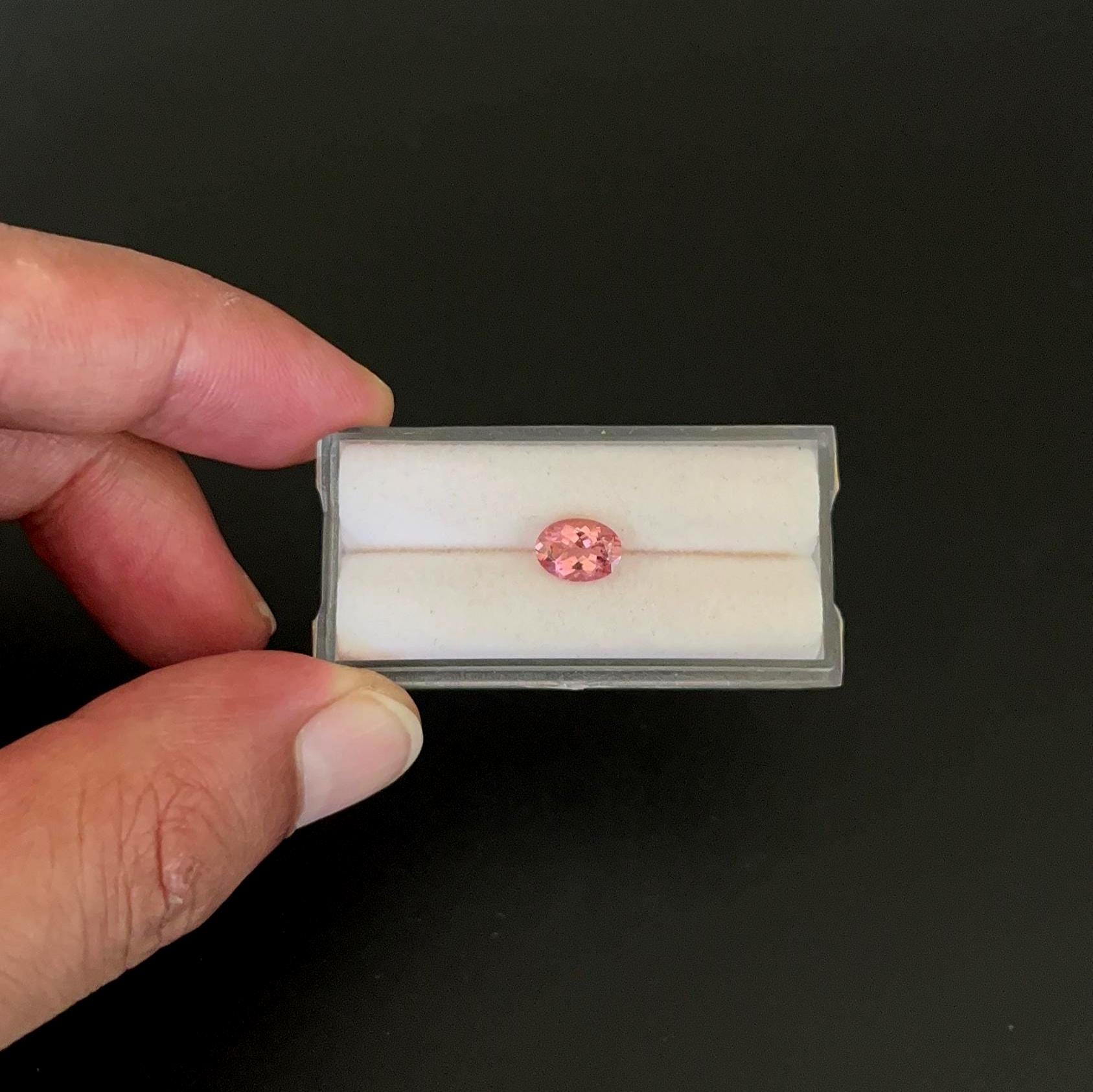 Natural Tourmaline Faceted 8.1x6 mm Single Piece Approximately 1.22 Carat (GTG-TOU-334)